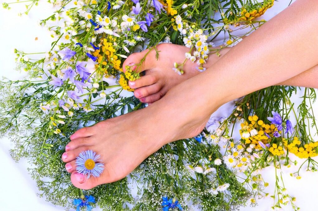 Varicose veins herbs